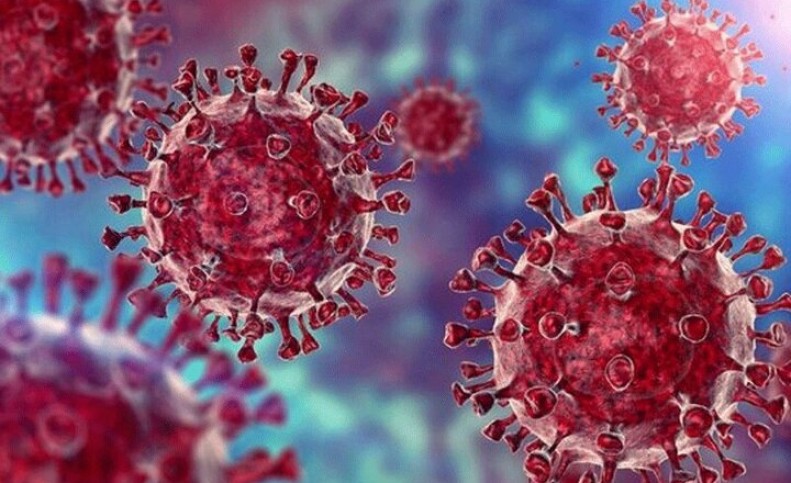 ویروسی مسری‌تر از اومیکرون هم آمد! / ویروس «سنسیشیال» چیست و چه علائمی دارد؟
