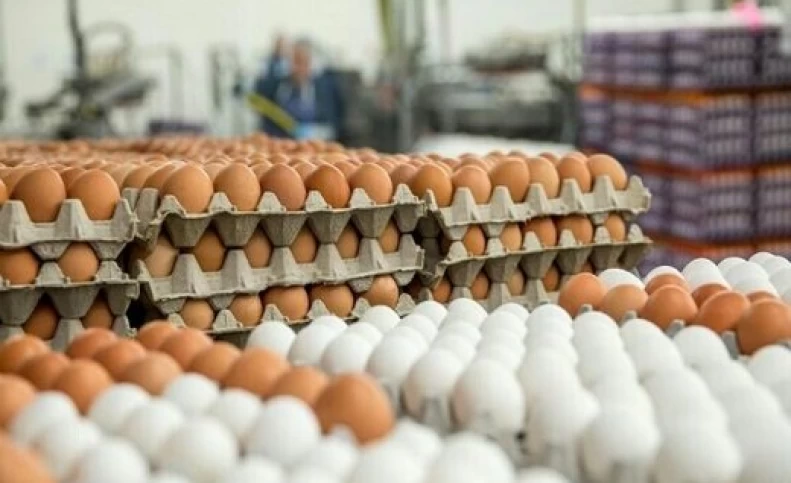 تخم مرغ کیلویی چند تومان فروخته می‌شود؟