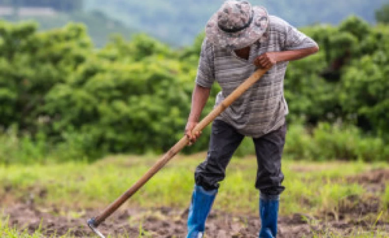 تاریخ و پیام تبریک روز جهانی کارگران مزرعه