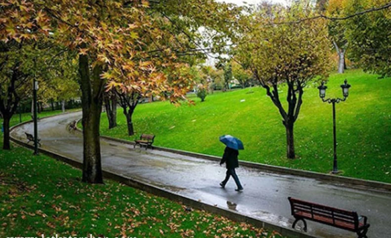 سرانه فضای سبز شهری ایران ، 12 متر مربع به ازای هر نفر است/ نصف استانداردهای جهانی