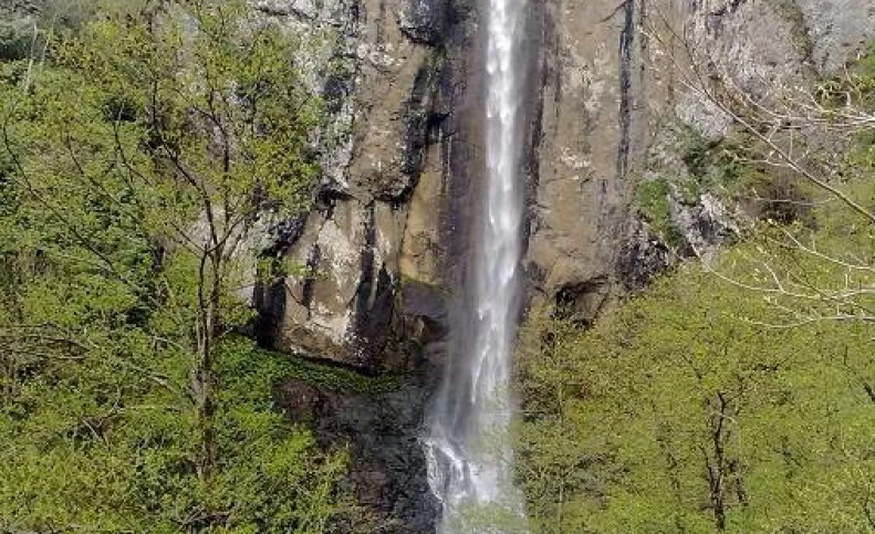 آبشار ریوو در دل جنگل های تالش (عکس)