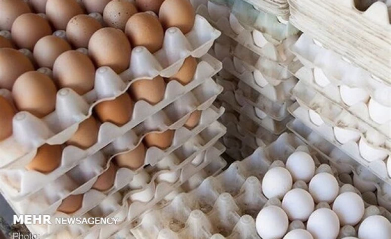 ۱۰ هزار تن تخم مرغ وارد می شود/ تعادل قیمت تا دو هفته دیگر