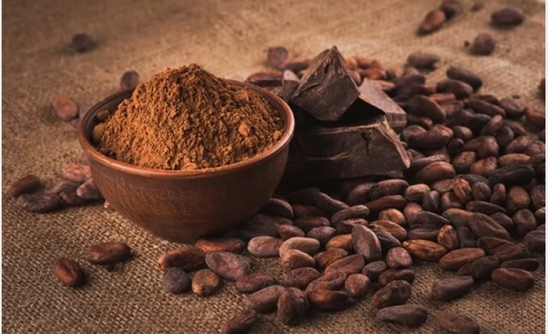 آیا مصرف کاکائو می‌تواند از پیر شدن جلوگیری کند؟