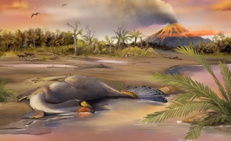 کشف اسرار دایناسورها با بررسی غضروف‌های فسیل‌شده!