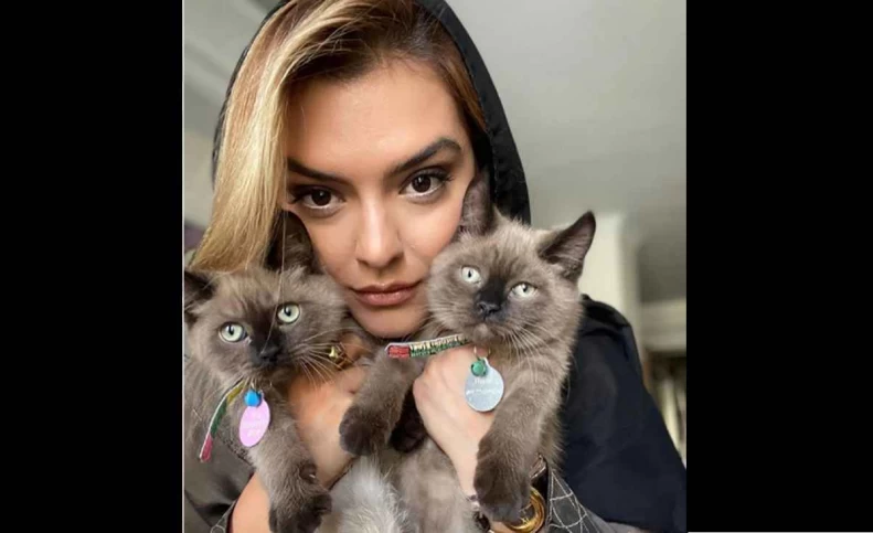 عکس سگ و گربه های دنیا مدنی