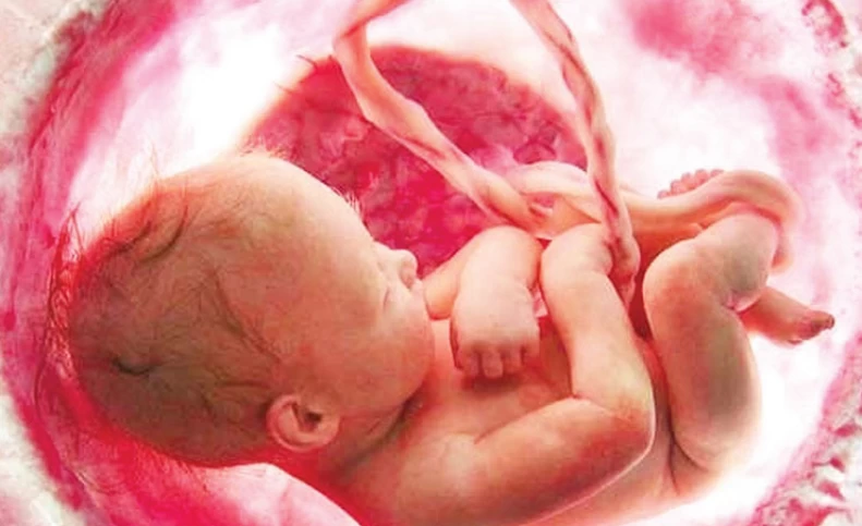 دلیل اصلی ایست قلب جنین در رحم مادر + علامت