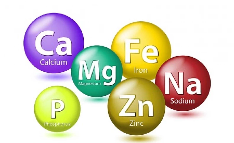 ویتامین ها و مواد معدنی کلیدی مورد نیاز بدن شما