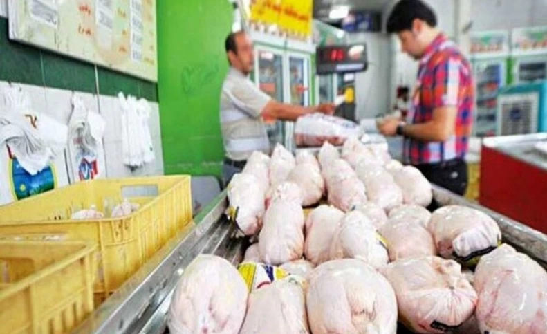 معمای گرانی مرغ ؛ نارضایتی همزمان مصرف کننده و تولید کننده