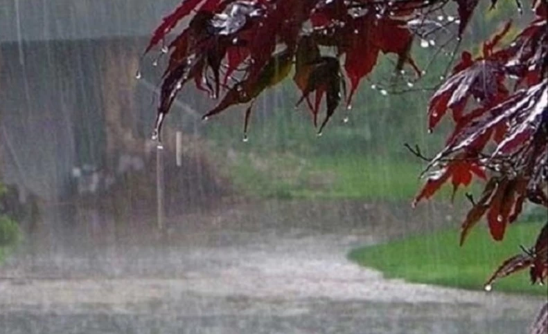 بارش پراکنده باران و وزش باد در 8 استان کشور