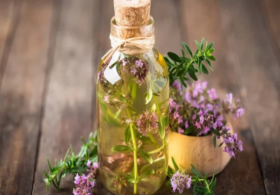 آشنایی با کاربردها و فواید بی نظیر روغن آویشن