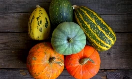 اشتباه خانم های ایرانی در نگهداری میوه و سبزیجات