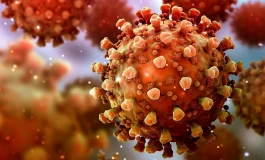 راه تشخیص زیرسویه جدید کرونا چیست؟ / در فضاهای بسته شلوغ از ماسک استفاده کنید!