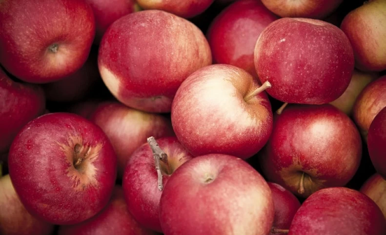 آیا خوردن یک عدد سیب در روز ما را از پزشک بی نیاز می کند؟