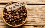 قهوه 100 درصد عربیکا