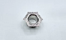 جسارت در استایل؛ چرا تانل گوش و پلاگ گوش این‌قدر محبوب شده‌اند؟