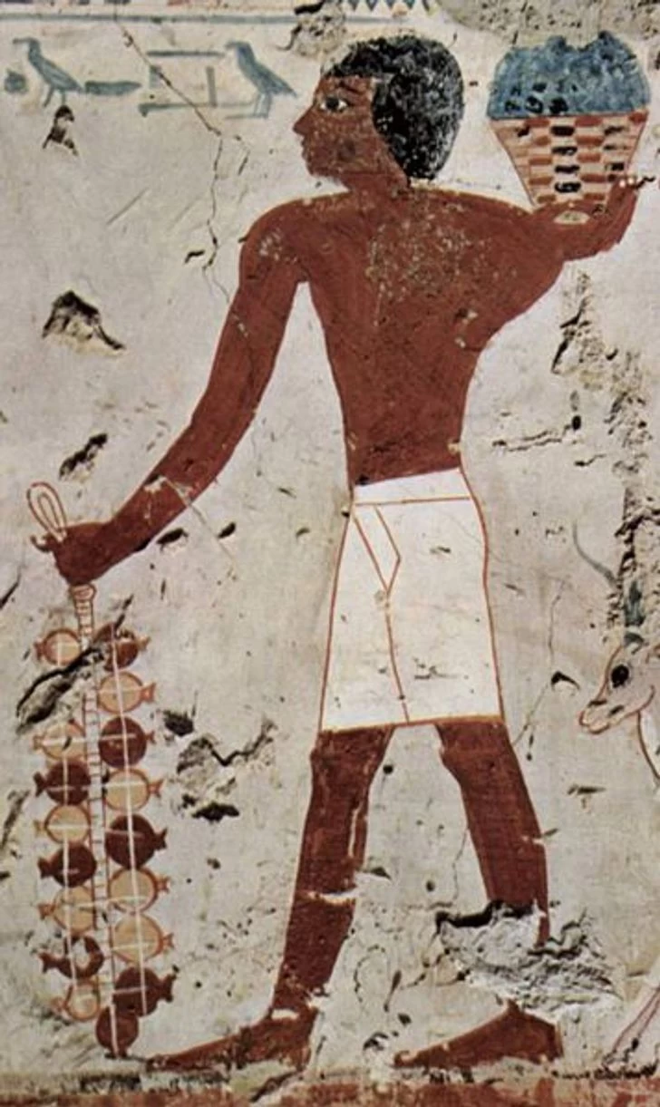 حقایقی خواندنی درباره زندگی شگفت انگیز مصریان باستان حقایقی خواندنی درباره زندگی شگفت انگیز مصریان باستان