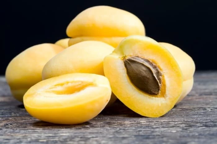خواص روغن زردآلو برای پوست خواص روغن زردآلو