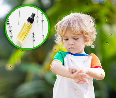 فواید گیاه اسطوخودوس گیاهان دارویی برای لاغری،گیاهان دارویی و خواص آنها