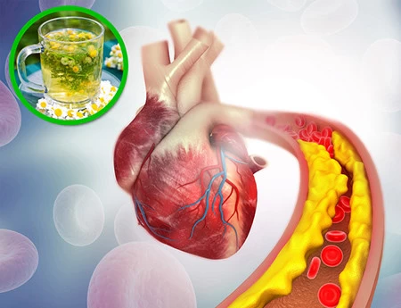 فواید گیاه بابونه گیاهان دارویی برای لاغری،گیاهان دارویی و خواص آنها