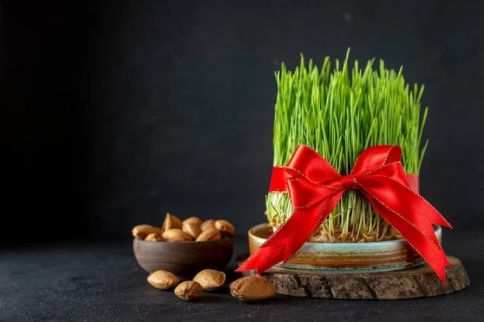 شعرهای تبریک عید نوروز تبریک سال نو 1402