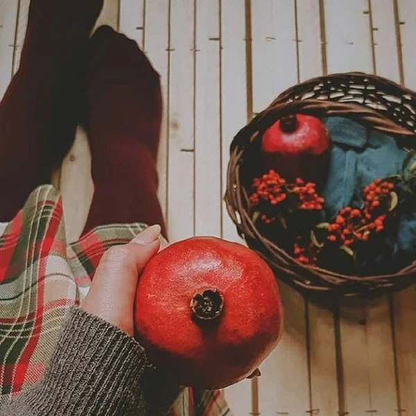 عکس پروفایل یلدا عکس شب یلدا با کیفیت بالا عکس شب یلدا خانوادگی عکس شب یلدا دونفره عکس برای شب یلدا دخترانه عکس شب یلدا 1402 عکس شب یلدا عاشقانه عکس پروفایل یلدا u;s v,thdg dgnh