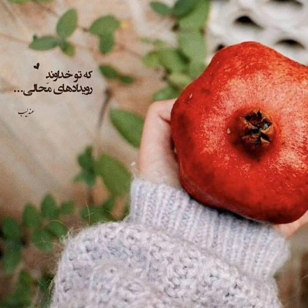 عکس پروفایل یلدا عکس شب یلدا با کیفیت بالا عکس شب یلدا خانوادگی عکس شب یلدا دونفره عکس برای شب یلدا دخترانه عکس شب یلدا 1402 عکس شب یلدا عاشقانه عکس پروفایل یلدا u;s v,thdg dgnh