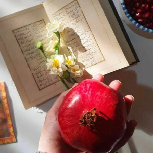 عکس پروفایل یلدا عکس شب یلدا با کیفیت بالا عکس شب یلدا خانوادگی عکس شب یلدا دونفره عکس برای شب یلدا دخترانه عکس شب یلدا 1402 عکس شب یلدا عاشقانه عکس پروفایل یلدا u;s v,thdg dgnh