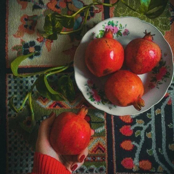 عکس پروفایل یلدا عکس شب یلدا با کیفیت بالا عکس شب یلدا خانوادگی عکس شب یلدا دونفره عکس برای شب یلدا دخترانه عکس شب یلدا 1402 عکس شب یلدا عاشقانه عکس پروفایل یلدا u;s v,thdg dgnh
